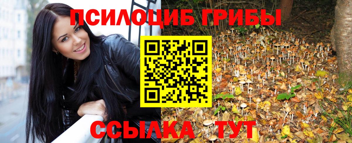 Галлюциногенные грибы прущие грибы Урюпинск